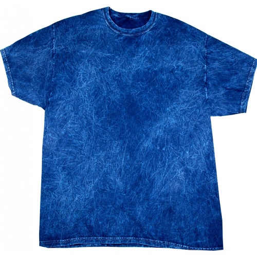 Vêtements Homme Rio De Sol Colortone Mineral Bleu