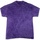 Vêtements Homme T-shirts manches courtes Colortone Mineral Violet