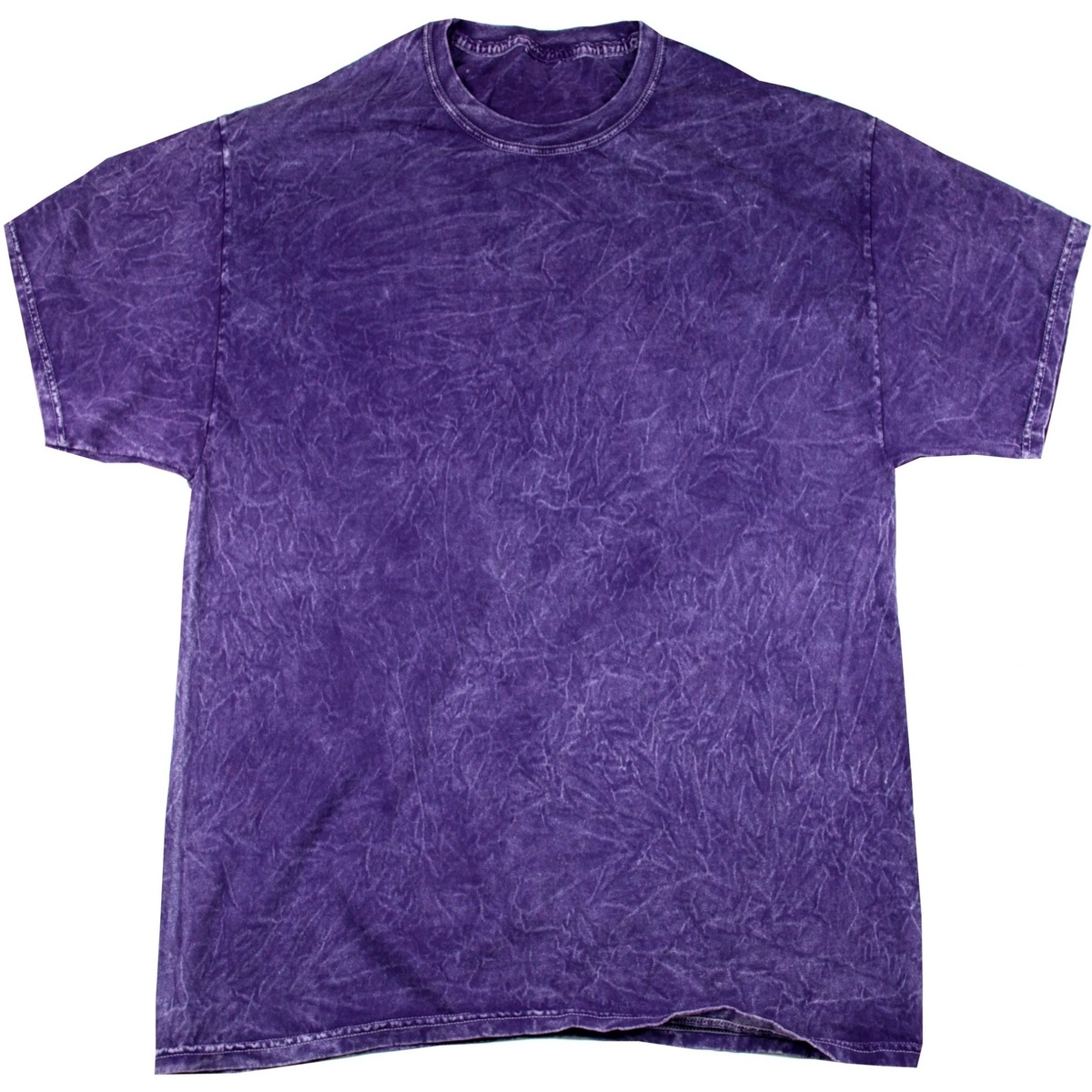 Vêtements Homme T-shirts manches courtes Colortone Mineral Violet