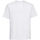 Vêtements Homme T-shirts manches courtes Russell 215M Blanc