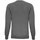 Vêtements Homme Sweats Asquith & Fox AQ042 Gris