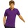 Vêtements Homme Polos manches courtes Asquith & Fox AQ015 Violet