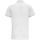 Vêtements Homme Polos manches courtes Asquith & Fox AQ015 Blanc