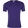 Vêtements Homme T-shirts manches courtes Awdis Just Cool Violet