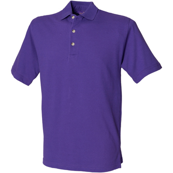 Vêtements Homme T-shirts & Polos Henbury HB100 Violet