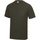 Vêtements Homme T-shirts manches courtes Awdis JC001 Olive