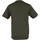 Vêtements Homme T-shirts manches courtes Awdis JC001 Olive
