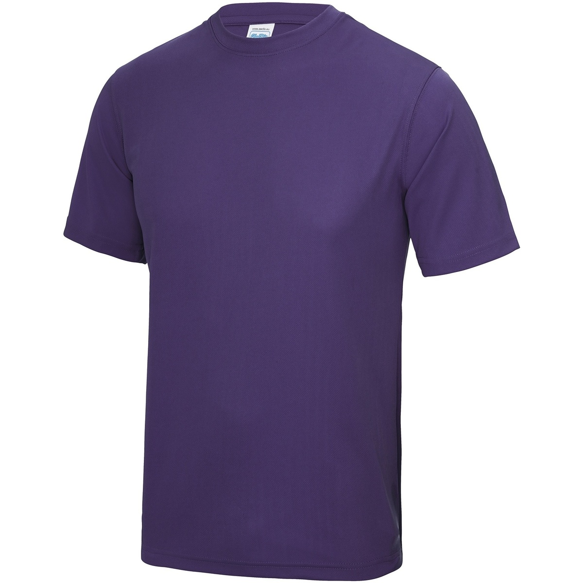Vêtements Homme T-shirts manches longues Awdis JC001 Violet