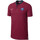 Vêtements Homme T-shirts & Polos Nike Paris Saint-Germain Modern Authentic Rouge
