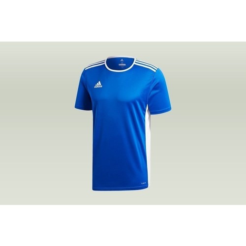 Vêtements Homme T-shirts manches courtes adidas Originals Entrada 18 Bleu