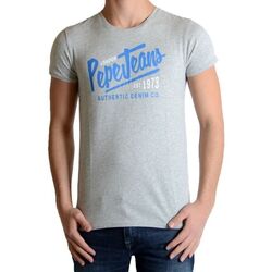 Vêtements Garçon T-shirts manches courtes Pepe jeans 37430 Gris