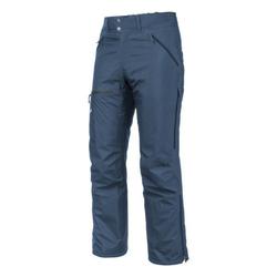 Vêtements Homme Pantalons Salewa Sesvenna Ws Lrr M Pnt 25820-8671 Bleu