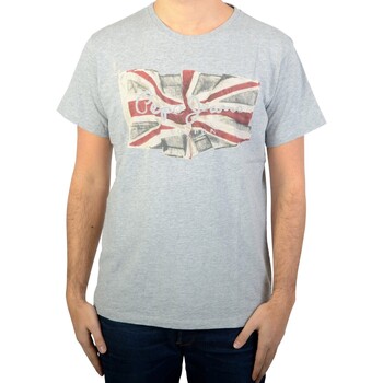 Vêtements Homme T-shirts manches courtes Pepe CALVIN JEANS Tee-Shirt Flag Gris