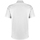 Vêtements Homme Chemises manches courtes Kustom Kit KK187 Blanc