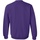 Vêtements Sweats Gildan 18000 Violet