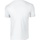 Vêtements Homme T-shirts hummel manches courtes Gildan Softstyle Blanc