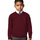 Vêtements Enfant Sweats Jerzees Schoolgear 272B Multicolore