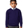 Vêtements Enfant Sweats Jerzees Schoolgear 272B Violet
