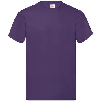 Vêtements Homme T-shirts manches courtes Fruit Of The Loom SS12 Violet