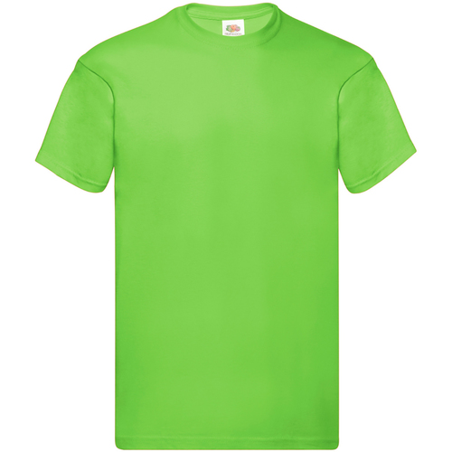 Vêtements Homme T-shirts manches courtes Politique de protection des données Original Vert