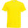 Vêtements Homme T-shirts manches courtes Fruit Of The Loom Original Multicolore