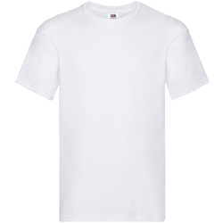 Vêtements Homme T-shirts manches courtes Fruit Of The Loom SS12 Blanc