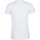 Vêtements Femme T-shirts manches courtes Sols Regent Blanc