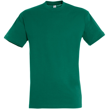 Vêtements Homme T-shirts manches courtes Sols 11380 Emeraude
