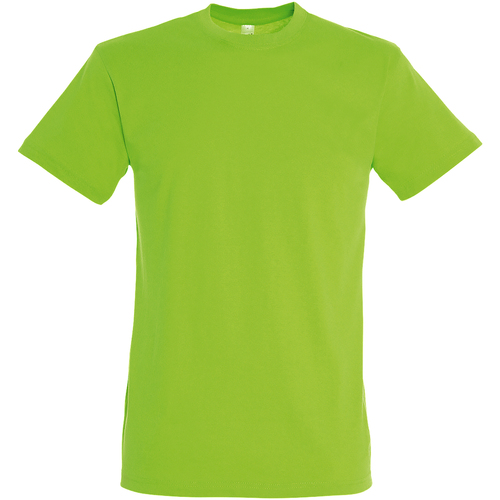Vêtements Homme T-shirts manches courtes Sols Regent Vert