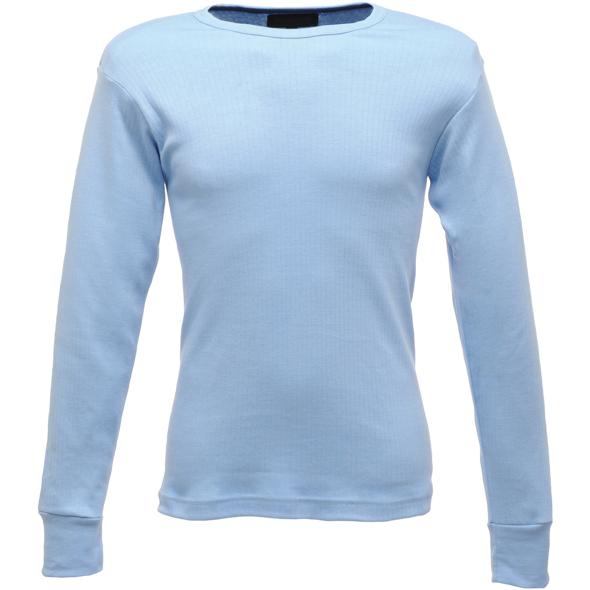 Vêtements Homme T-shirts manches longues Regatta RG289 Bleu