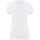 Vêtements Femme T-shirts manches courtes Skinni Fit SK122 Blanc