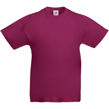 Vêtements Enfant T-shirts manches courtes Fruit Of The Loom 61019 Multicolore