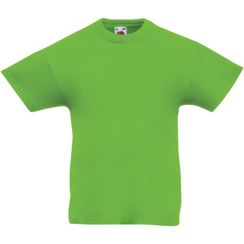 Vêtements Enfant T-shirts manches courtes Portefeuilles / Porte-monnaiem 61019 Vert