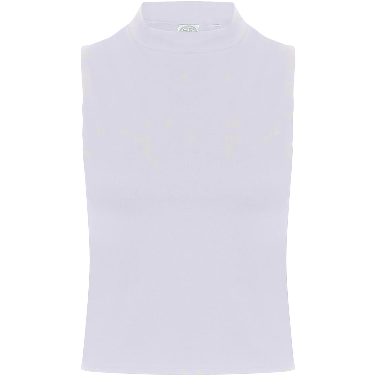 Vêtements Femme Débardeurs / T-shirts sans manche Skinni Fit SK170 Blanc