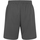 Vêtements Homme Shorts / Bermudas Just Cool JC080 Gris
