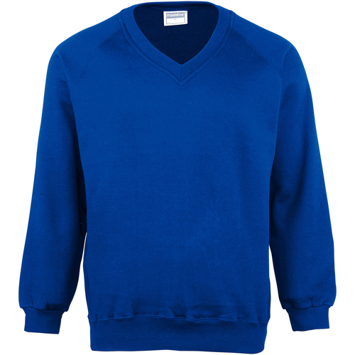 Vêtements Enfant Sweats Maddins MD02B Bleu