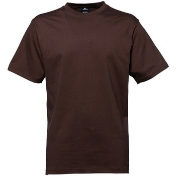 Vêtements Homme T-shirts manches courtes Tee Jays TJ8000 Multicolore